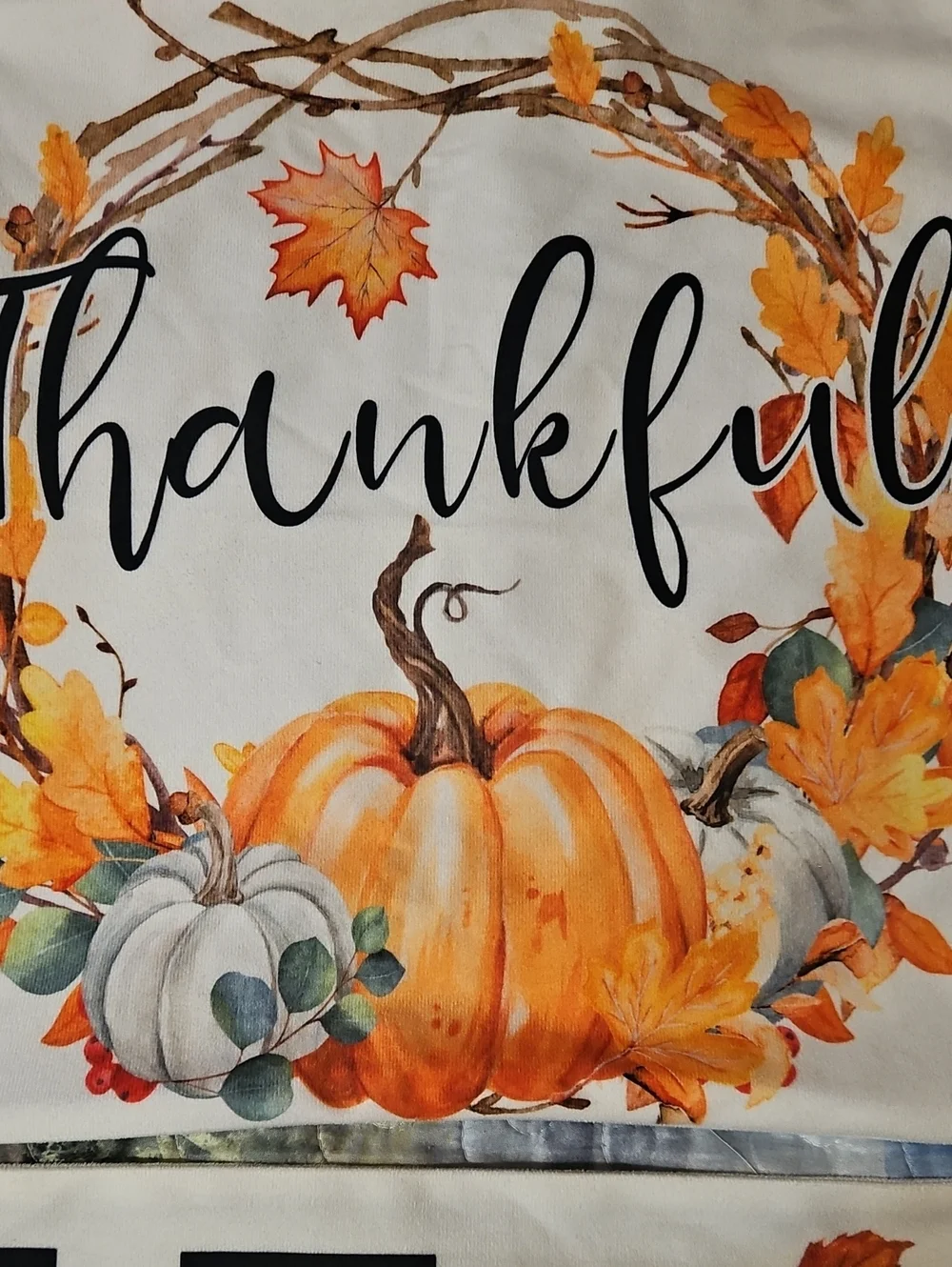 Thankful & HOME Pumpkin Pillow Covers - Fall Harvest Decor